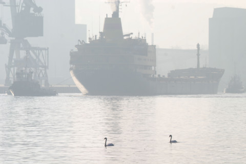 France: Normandie, Seine Maritime, vallee de la Seine, grand port de mer de Rouen, silos a cereales, cargo a quai, cygnes sur la Seine, brume,