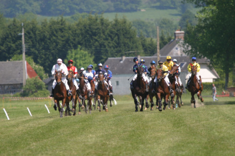 France, Basse Normandie, calvados, pays d'auge, dozule, courses de trot, hippodrome, courses, cheval, pmu, piste herbe,