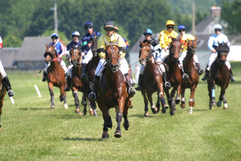 France, Basse Normandie, calvados, pays d'auge, dozule, courses de trot, hippodrome, courses, cheval, pmu, piste herbe,