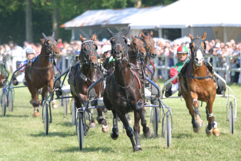 France, Basse Normandie, calvados, pays d'auge, dozule, courses de trot, hippodrome, courses, cheval, pmu, piste herbe,