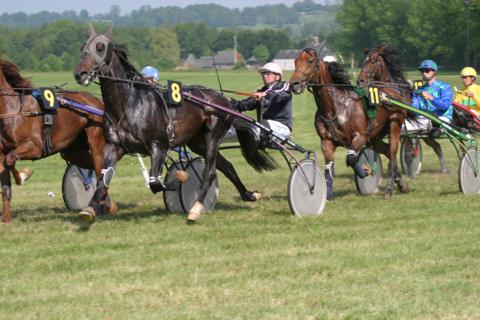 France, Basse Normandie, calvados, pays d'auge, dozule, courses de trot, hippodrome, courses, cheval, pmu, piste herbe,