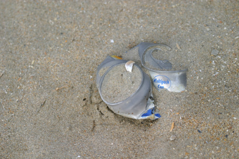 France, Normandie, pollution, canette dans le sable d'une plage, dechets, detritus, developpement durable,