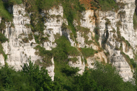France, marais vernier