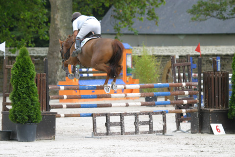 France, Basse Normandie, Manche, auvers, concours de saut d'obstacle, cso, alain hinard, sport equestre equitation, cheval selle francais,