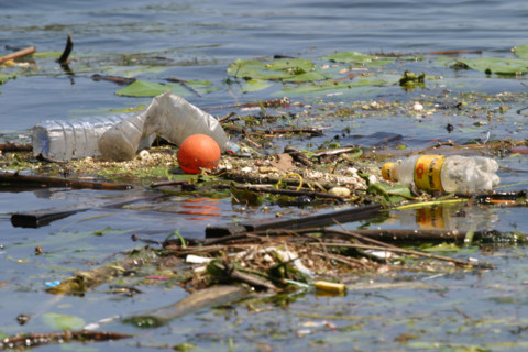 France, Normandie, pollution de l'eau, dechets, detritus, developpement durable,