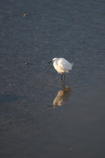 France, cabourg