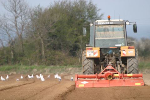 France, ploughing tractor