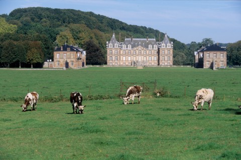 France, Haute Normandie, Seine Maritime, pays de Caux maritime, cany barville, chateau de cany, champs, vaches normandes, paysage, vue d'ensemble, agriculture, patrimoine,