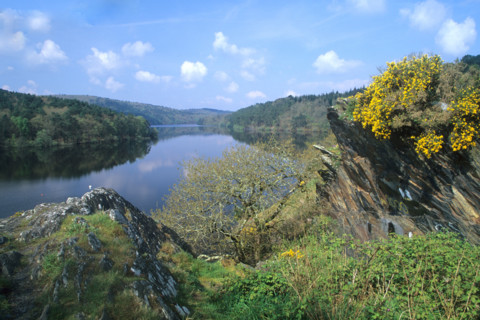 France, Bretagne, Cotes d'Armor, lac de Guerledan, plan d'eau amenage, rochers, genets,