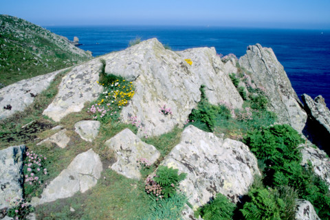 France, cornwall