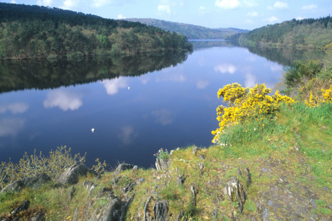 France, Bretagne, Cotes d'Armor, lac de Guerledan, plan d'eau amenage, rochers, genets,