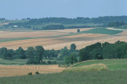 France, Haute Normandie, Seine Maritime, paysage du pays de bray en ete, bures en bray, agriculture, champs, village,