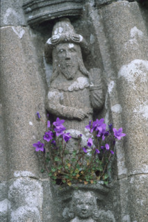 France, parish closes tour