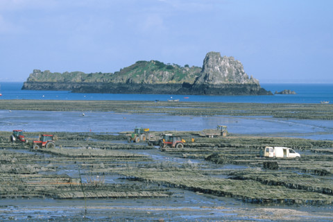 France, Land of the Mont Saint-Michel bay