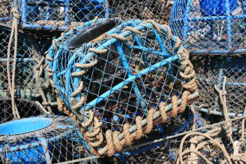 France, Bretagne, Cotes d'Armor, cote d'Emeraude, erquy, port de peche, detail casiers, peche aux crustaces