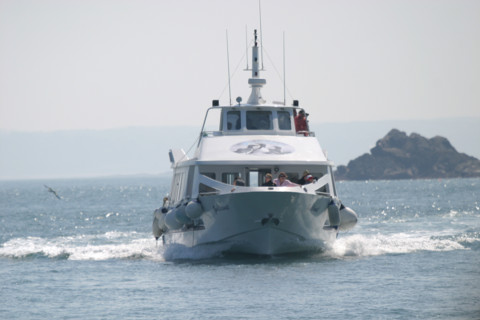France, Bretagne, Cotes d'Armor, cote de granit rose, les sept iles, croisiere aux sept iles, vedette,