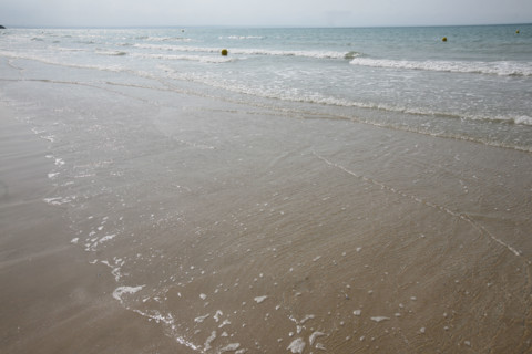France, Bretagne, Cotes d'Armor, pleneuf val-Andre, la grande plage du val Andre, maree basse, sable,
