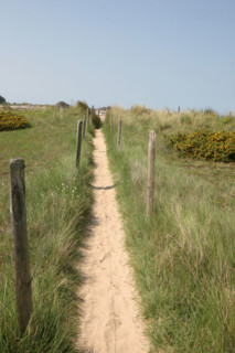 France, Bretagne, Cotes d'Armor, cote d'Emeraude, sables d'or les pins, la plage, chemin littoral dans les dunes