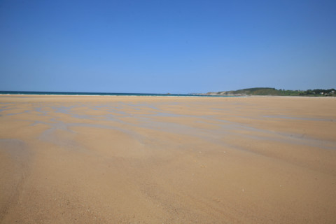 France, Bretagne, Cotes d'Armor, cote d'Emeraude, sables d'or les pins, la plage, ondes sur le sable, maree basse,
