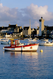 France, Bretagne, Finistere nord, pays du leon, Roscoff, port, bateaux, peche, plaisance, quais, digue, phare,