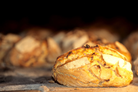 France, gastronomy