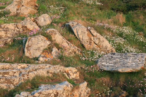 France, cornwall