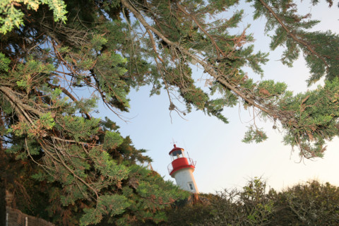 France, Bretagne, Finistere sud, Cornouaille, port manech, embouchure de l'Aven et du Belon, phare, au fil de la promenade du sentier littoral,