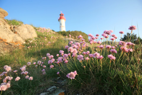 France, Bretagne, Finistere sud, Cornouaille, port manech, embouchure de l'Aven et du Belon, armeries maritimes et phare, au fil de la promenade du sentier littoral,