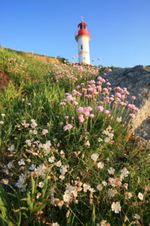 France, Bretagne, Finistere sud, Cornouaille, port manech, embouchure de l'Aven et du Belon, armeries maritimes et phare, au fil de la promenade du sentier littoral,