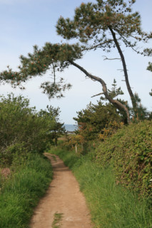 France, cornwall