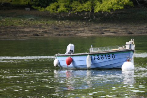 France, Bretagne, Finistere sud, Cornouaille, l'odet au niveau des vire court