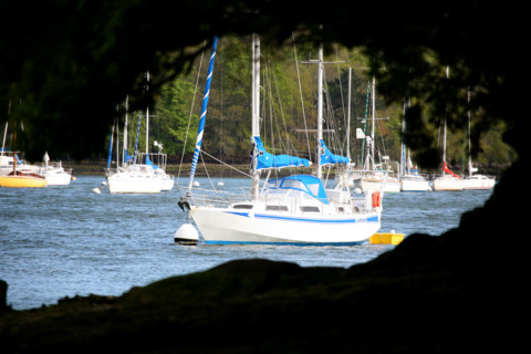 France, Bretagne, Finistere sud, Cornouaille, l'odet, cale de rossulien, voilier,