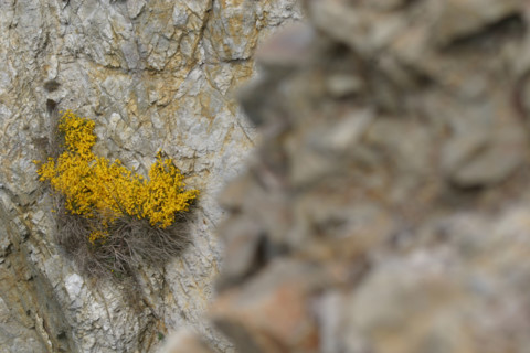 France, crozon peninsula