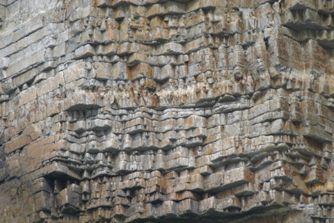 France, Bretagne, Finistere, presqu'ile de crozon, cap de la chevre, detail matiere de la roche de la falaise,