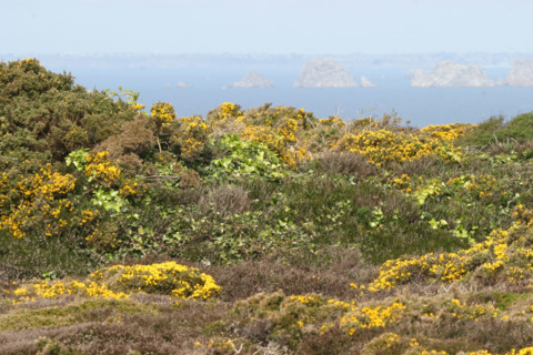 France, crozon peninsula