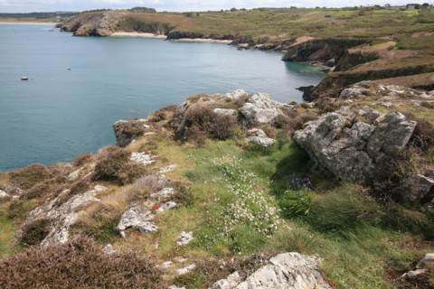 France, Bretagne, Finistere, presqu'ile de crozon, pointe de dinan, rochers, arche, vue generale, anse,