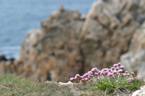 France, crozon peninsula