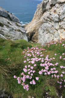 France, crozon peninsula