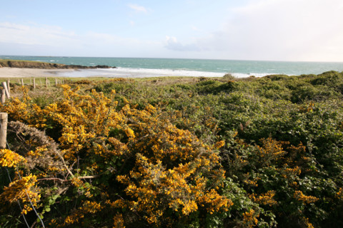 France, cornwall