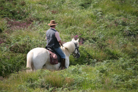 France, Bretagne, Finistere, monts d'arree, paysage, rochers, lande sauvage, randonnee equestre, cavalier, au sommet du roc'h trevezel