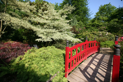France, floral park