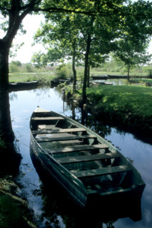 France, regional natural park of briere