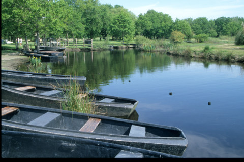 France, regional natural park of briere