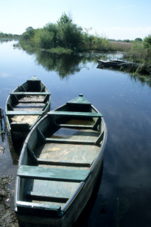 France, regional natural park of briere