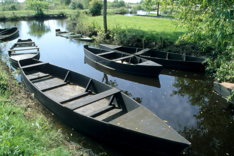 France, regional natural park of briere