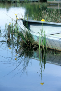 France, regional natural park of briere