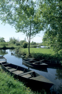 France, regional natural park of briere