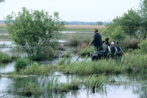 France, regional natural park of briere