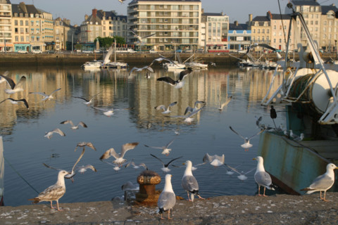 France, cotentin