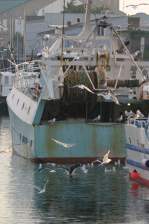 France, cotentin